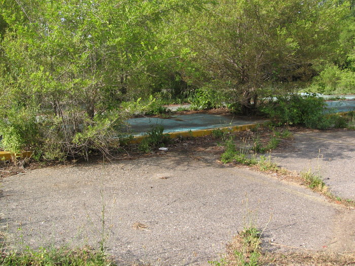 Wallis Drive-In - Wallis North - 5414 N Saginaw (newer photo)